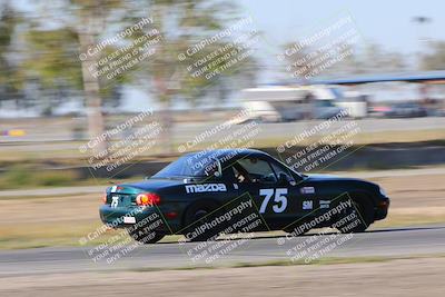 media/Oct-14-2023-CalClub SCCA (Sat) [[0628d965ec]]/Group 4/Race/